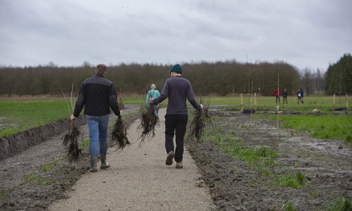 banner-eemvallei-plantgoed