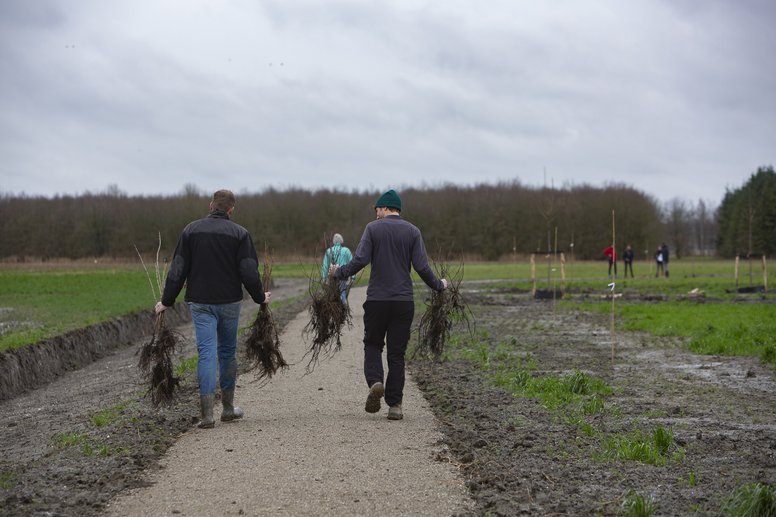 banner-eemvallei-plantgoed