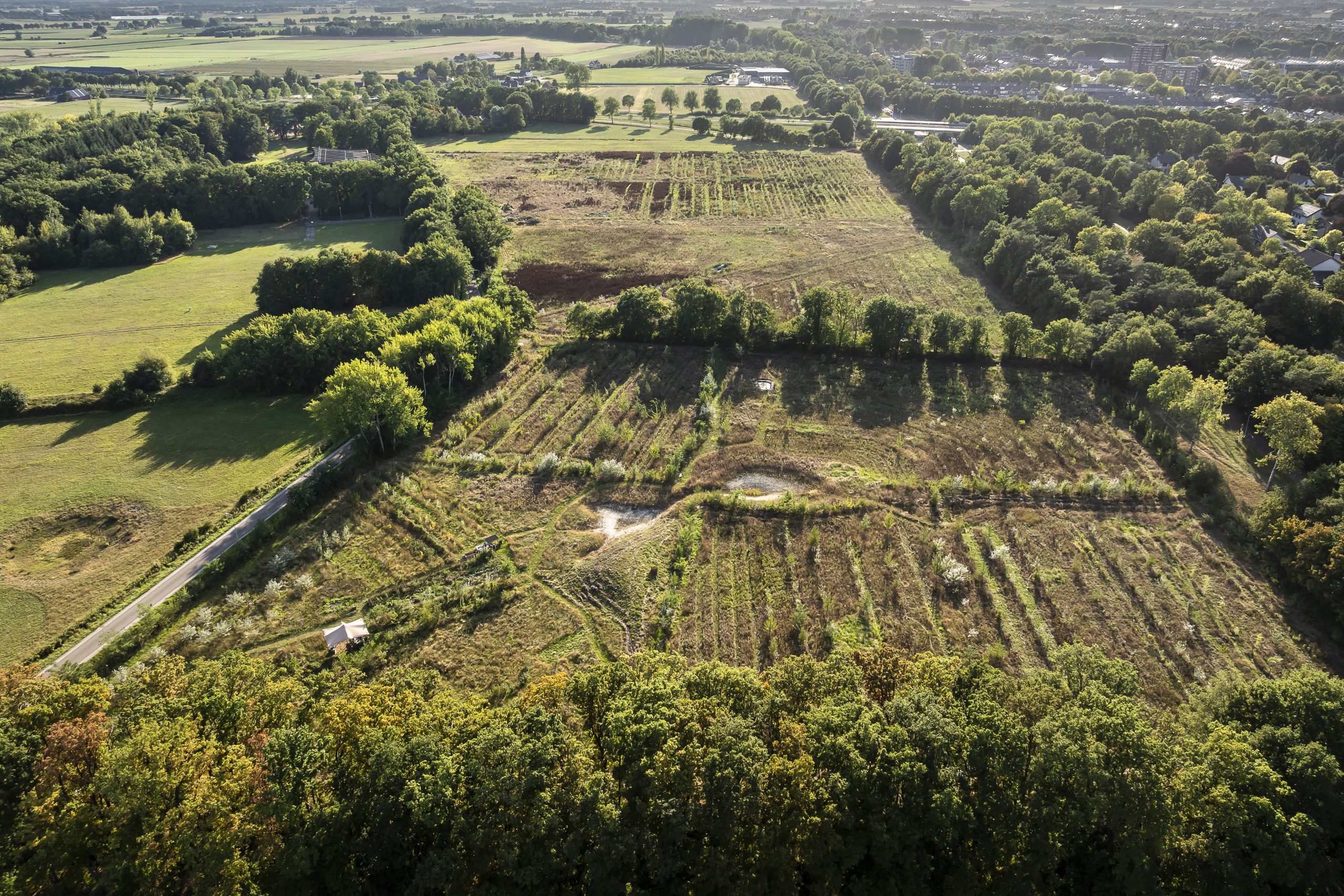Voedselbos Vierhoeven